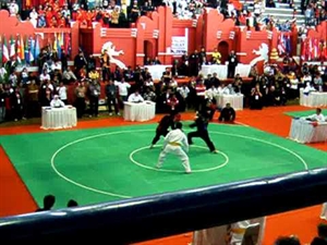 Le Vietnam rafle le 15e Championnat du monde de pencak silat